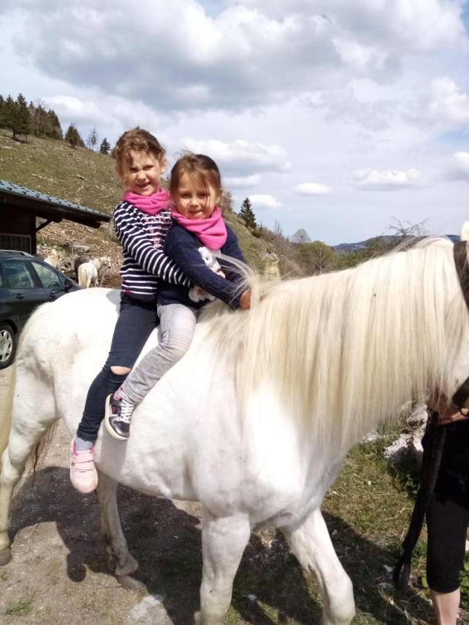 Chez Herve Le Chatelet La Chaux Neuve Екстериор снимка